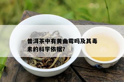 普洱茶中有黄曲霉吗及其素的科学依据？