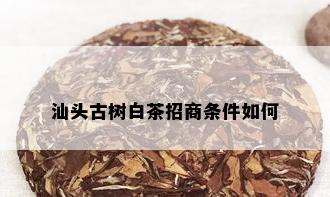 汕头古树白茶招商条件如何