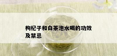 枸杞子和白茶泡水喝的功效及禁忌