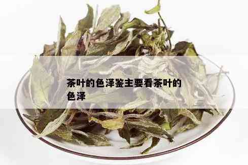 茶叶的色泽鉴主要看茶叶的色泽