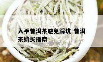 入手普洱茶避免踩坑-普洱茶购买指南