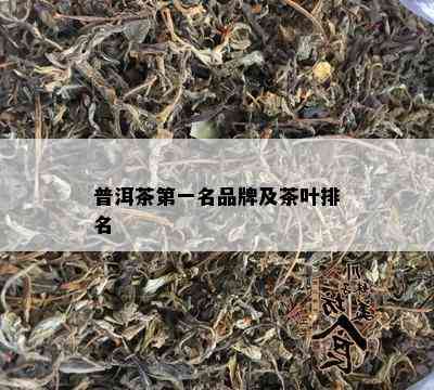 普洱茶之一名品牌及茶叶排名