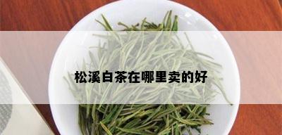 松溪白茶在哪里卖的好