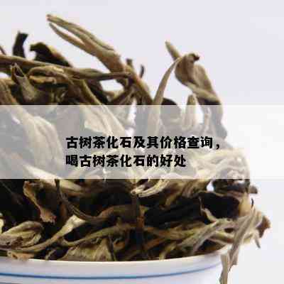 古树茶化石及其价格查询，喝古树茶化石的好处