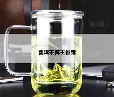 普洱茶博主推荐