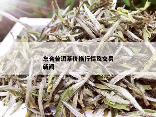 东合普洱茶价格行情及交易新闻