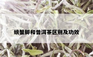 螃蟹脚和普洱茶区别及功效