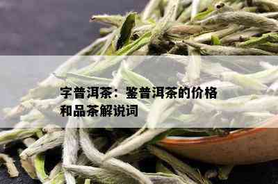 字普洱茶：鉴普洱茶的价格和品茶解说词