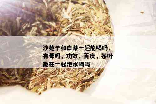 沙苑子和白茶一起能喝吗，有吗，功效，百度，茶叶能在一起泡水喝吗