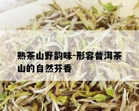 熟茶山野韵味-形容普洱茶山的自然芬香