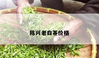 陈兴老白茶价格