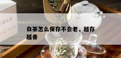 白茶怎么保存不会老，越存越香