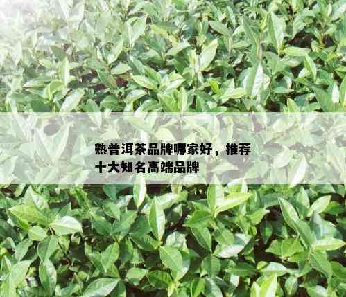 熟普洱茶品牌哪家好，推荐十大知名高端品牌