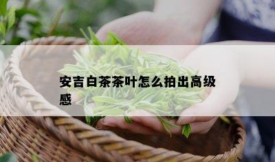 安吉白茶茶叶怎么拍出高级感