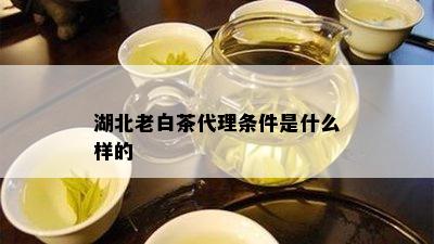 湖北老白茶代理条件是什么样的