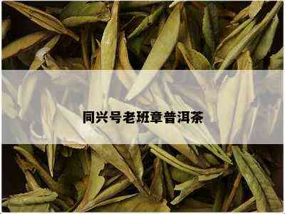 同兴号老班章普洱茶