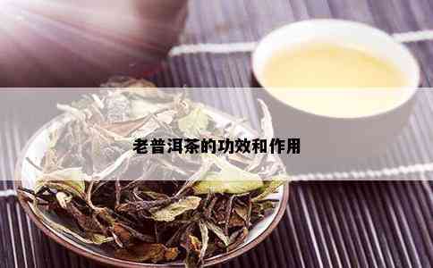 老普洱茶的功效和作用