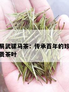 易武骡马茶：传承百年的珍贵茶叶