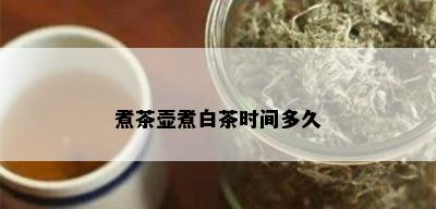 煮茶壶煮白茶时间多久