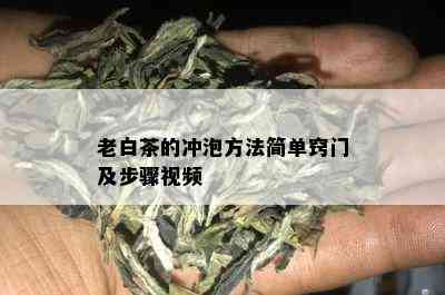 老白茶的冲泡方法简单窍门及步骤视频