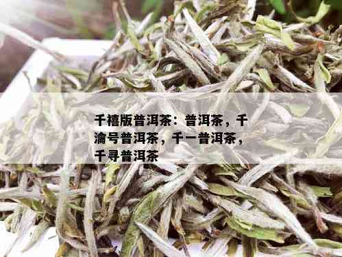 千禧版普洱茶：普洱茶，千瀹号普洱茶，千一普洱茶，千寻普洱茶