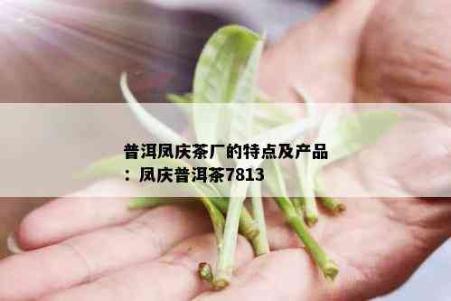 普洱凤庆茶厂的特点及产品：凤庆普洱茶7813