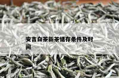 安吉白茶新茶储存条件及时间