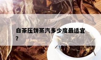 白茶压饼蒸汽多少度最适宜？