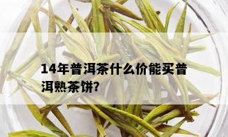 14年普洱茶什么价能买普洱熟茶饼？