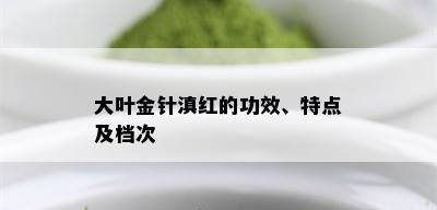 大叶金针滇红的功效、特点及档次