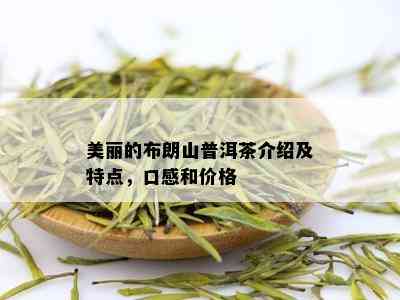 美丽的布朗山普洱茶介绍及特点，口感和价格