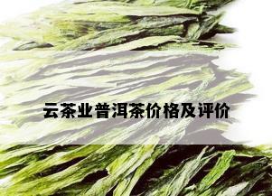 云茶业普洱茶价格及评价