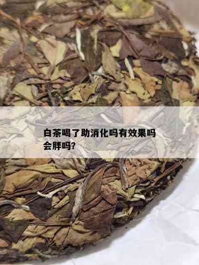 白茶喝了助消化吗有效果吗会胖吗？