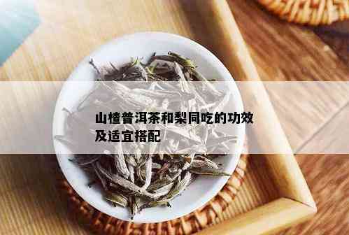 山楂普洱茶和梨同吃的功效及适宜搭配