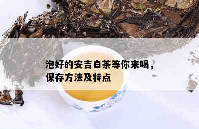 泡好的安吉白茶等你来喝，保存方法及特点