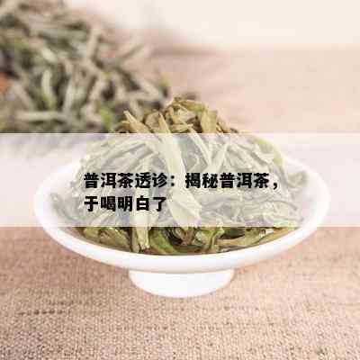 普洱茶透诊：揭秘普洱茶，于喝明白了