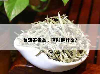 普洱茶贵么，区别是什么？