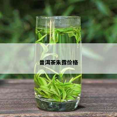 普洱茶朱露价格