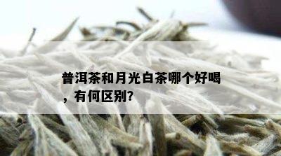 普洱茶和月光白茶哪个好喝，有何区别？