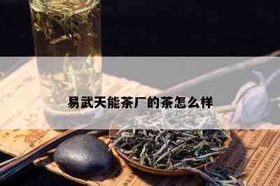 易武天能茶厂的茶怎么样