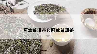 阿本普洱茶和阿兰普洱茶