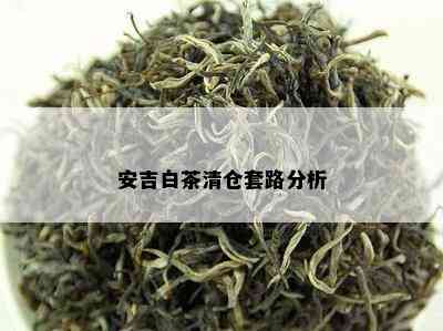 安吉白茶清仓套路分析