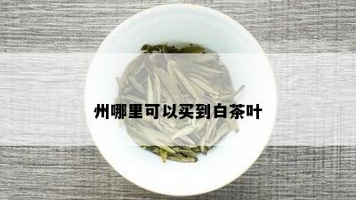 州哪里可以买到白茶叶