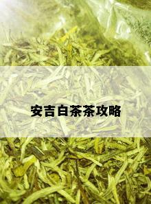 安吉白茶茶攻略