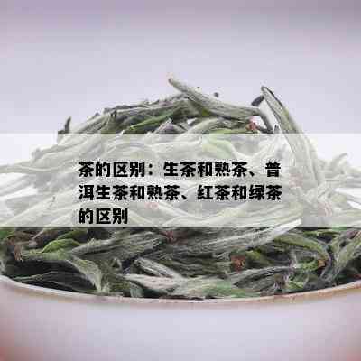 茶的区别：生茶和熟茶、普洱生茶和熟茶、红茶和绿茶的区别