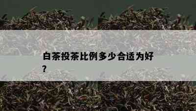 白茶投茶比例多少合适为好？