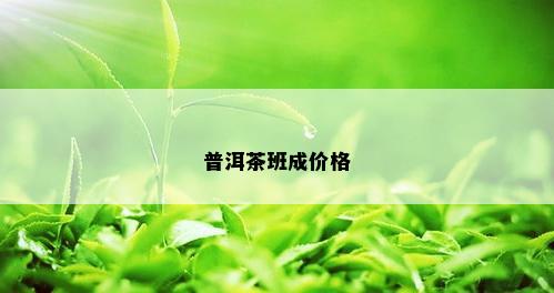 普洱茶班成价格