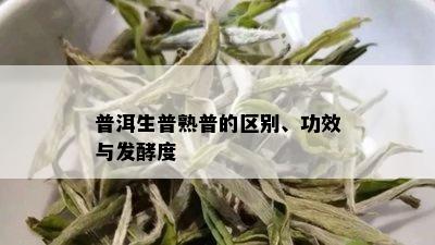 普洱生普熟普的区别、功效与发酵度