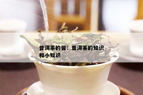 普洱茶的皆：普洱茶的知识和小知识