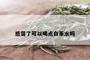 感冒了可以喝点白茶水吗